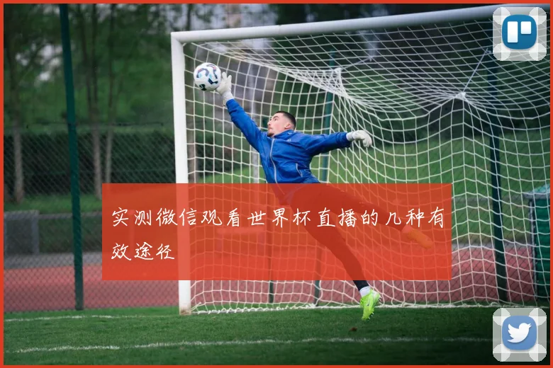 实测微信观看世界杯直播的几种有效途径