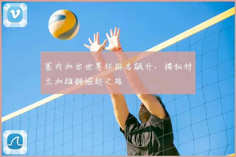 塞内加尔世界杯排名飙升，揭秘特兰加雄狮崛起之路