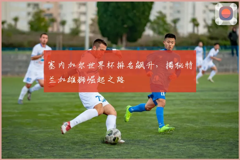 塞内加尔世界杯排名飙升，揭秘特兰加雄狮崛起之路