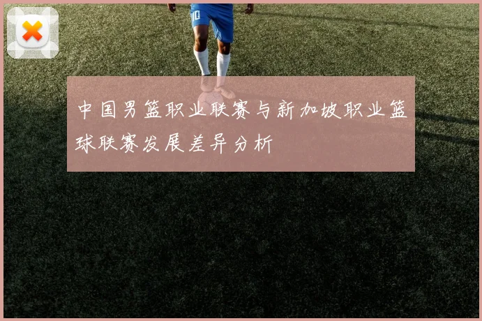 中国男篮职业联赛与新加坡职业篮球联赛发展差异分析