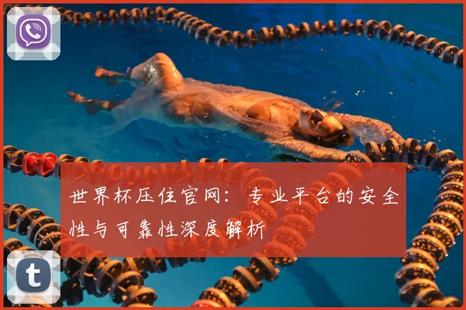 世界杯压住官网：专业平台的安全性与可靠性深度解析
