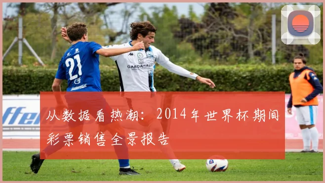 从数据看热潮:2014年世界杯期间彩票销售全景报告