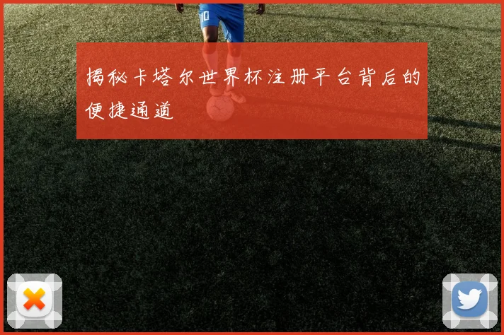 揭秘卡塔尔世界杯注册平台背后的便捷通道